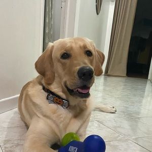 Meet your Posher, Kelly